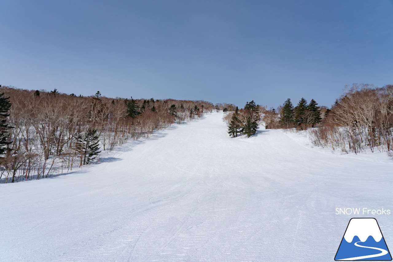 サッポロテイネ｜オリンピアゾーンは、3月31日で営業終了のはずですが…。まだまだ積雪たっぷりのゲレンデ。コンディション良好です！